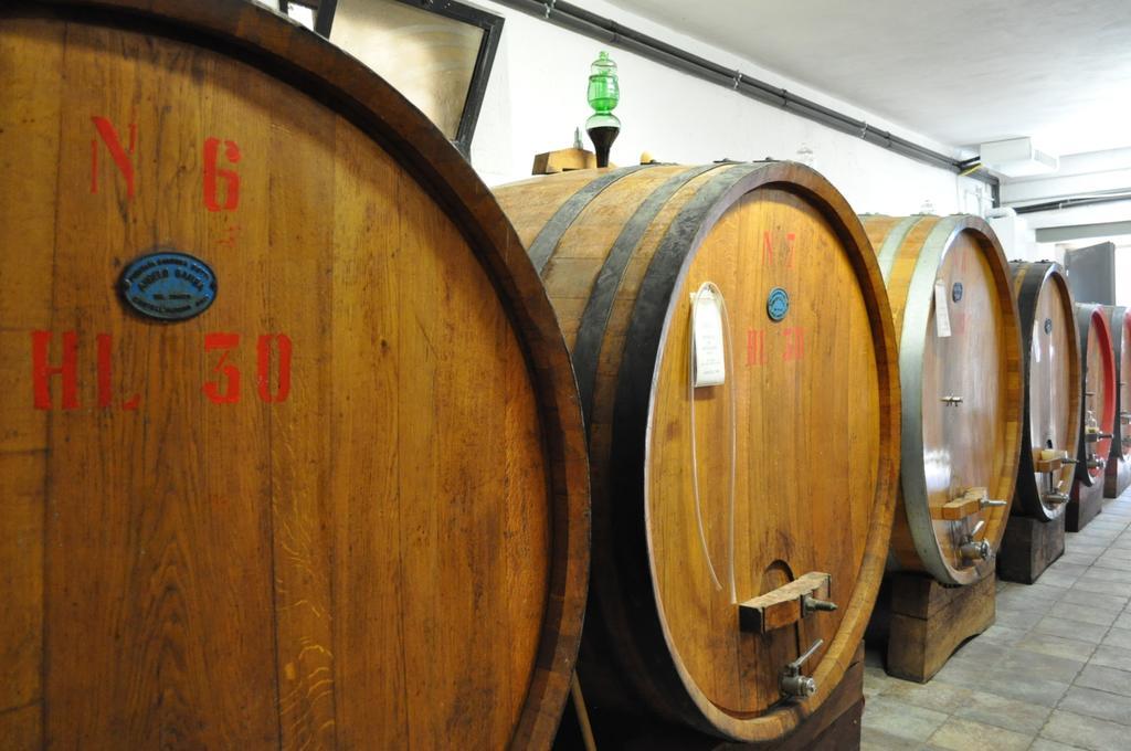 Antica Grancia Di Quercecchio Apartman Montalcino Kültér fotó